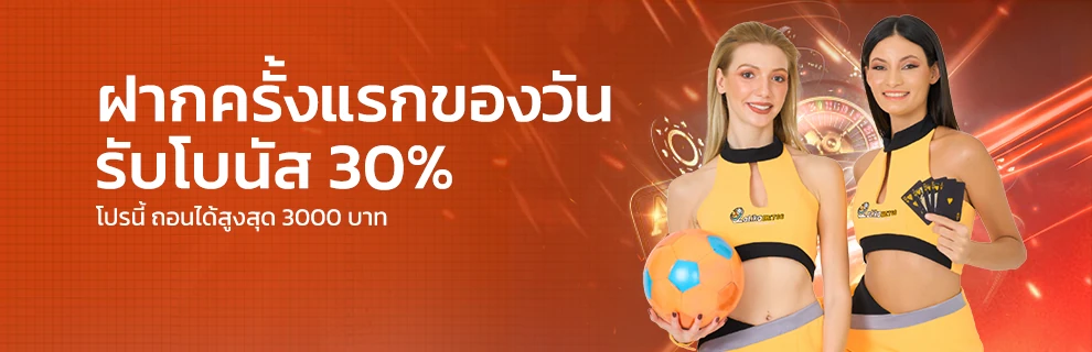  promotion_up30persen 